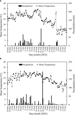 Optimal seeding rate enhances seedling quality, mechanical transplanting quality, and yield in hybrid rice